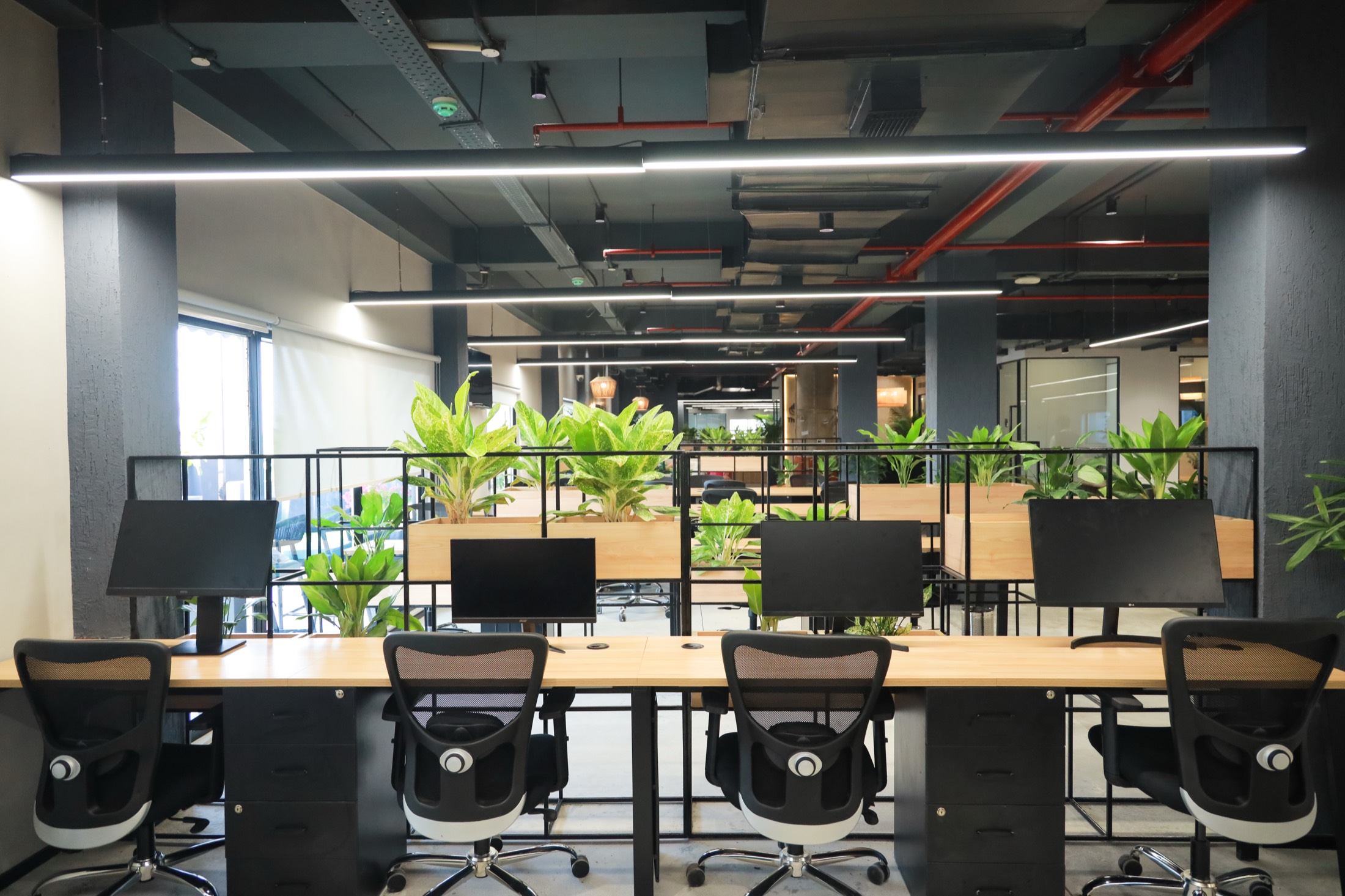 FarMart office culture and workspace atmosphere